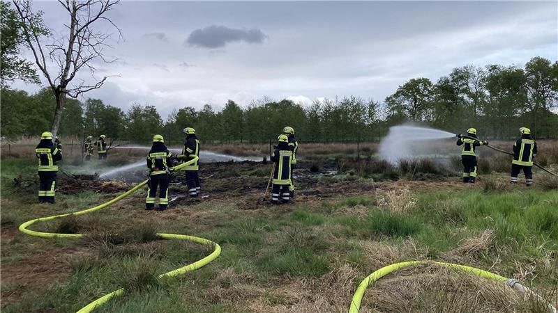 Transporter in Bützfleth ausgebrannt Das Feuer breitete sich auf trockner Weide aus, es brannten etwa 50 Quadratmeter.