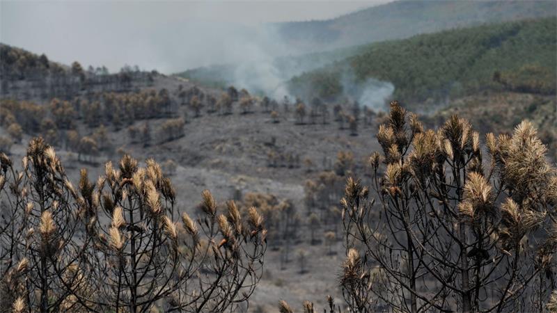 Das Feuer in der Region von Guadalajara nordöstlich von Madrid hat bereits 13.000 Hektar Wald- und Buschland vernichtet.