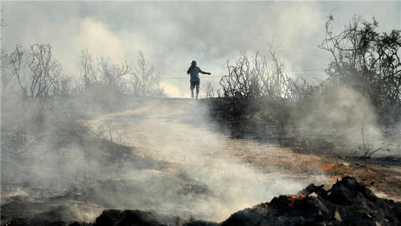 Mindestens zwei Tote bei Bränden auf Zypern Das Feuer tobt nördlich der Hafenstadt Limassol.
