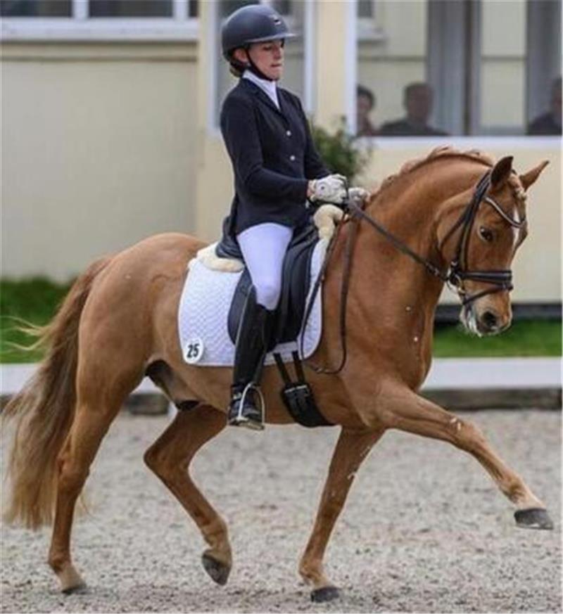 Das Foto zeigt Lilli von Helldorff mit ihrem Dobbi Dobbsen.