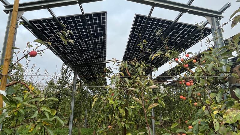 Windkraft im Alten Land plötzlich vom Tisch – aus einem bestimmten Grund Das Foto zeigt eine Versuchsanlage für Agri-PV im Alten Land.