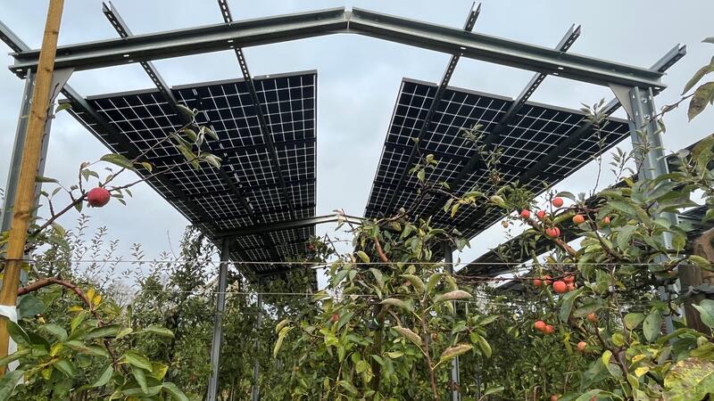 So viel CO₂ stößt die Region Altes Land und Horneburg aus Das Foto zeigt eine Versuchsanlage für Agri-PV im Alten Land.