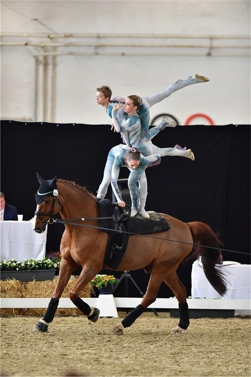 Weltmeister: Voltigierer des RV Fredenbeck holen Gold Das Fredenbecker Junior-Team holte sich auf Capitain Claus den Sieg beim Preis der Besten. Foto: Daniel Kaiser