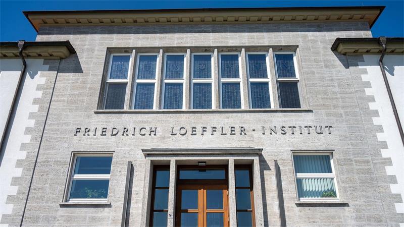 Unbekanntes Virus bei Rindern in Süddeutschland nachgewiesen Das Friedrich-Loeffler-Institut hat einen bislang unbekannten Erreger untersucht und weiter charakterisiert. (Symbolbild)