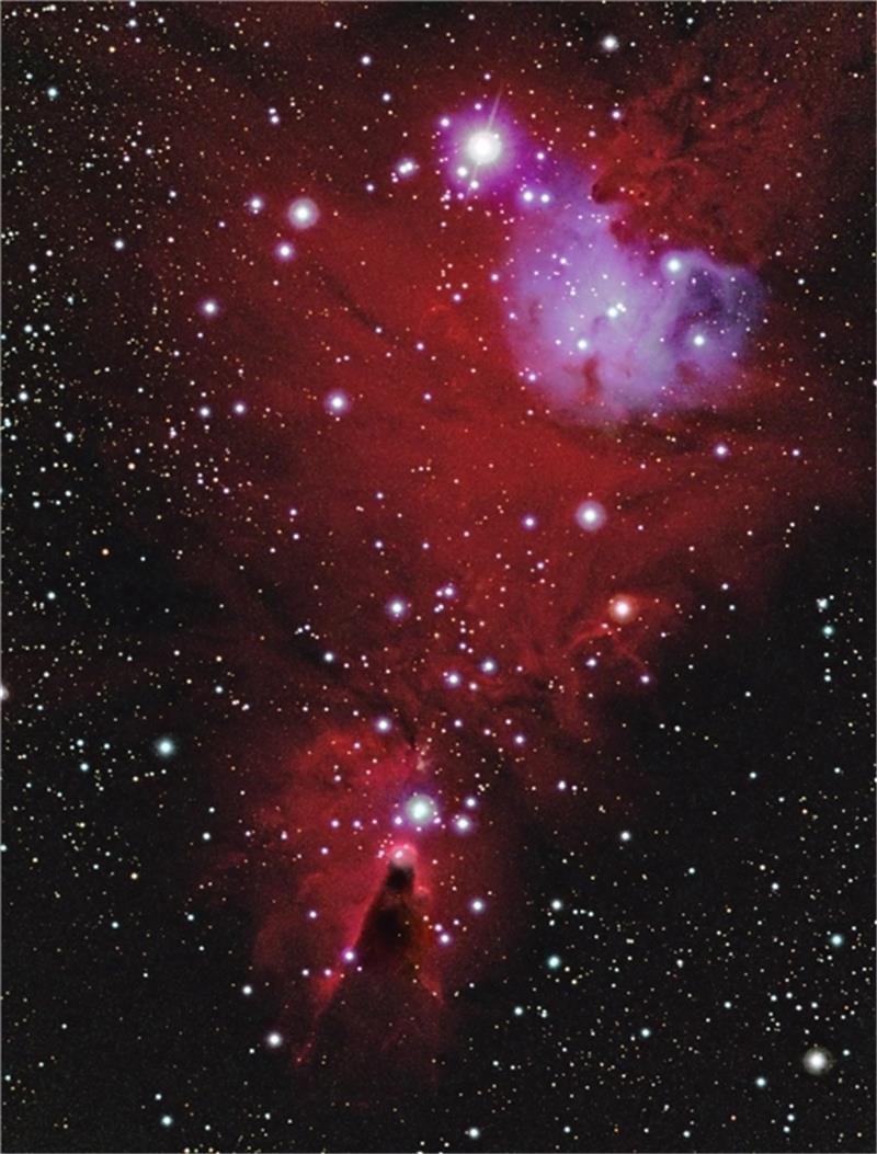 Das Gebiet NGC 2264, bestehend aus mehreren Nebeln und einem Sternhaufen. Es befindet sich in etwa 2500 Lichtjahren Entfernung im Sternbild Einhorn. Foto: Manfred Mrotzek