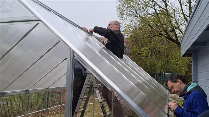 Das Gewächshaus konnte in Rekordzeit errichtet werden.