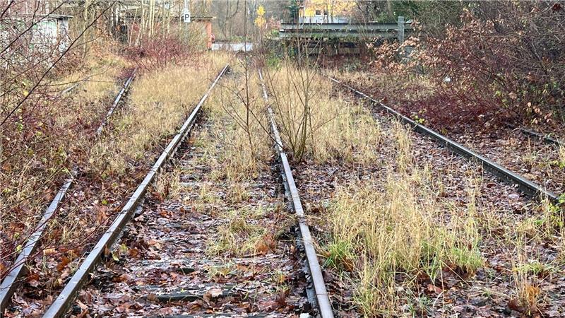 Als das Gleis in Ottenbeck Lebensader für Wirtschaft und Militär war Das Gleis in Ottenbeck bietet auch eine Laderampe.