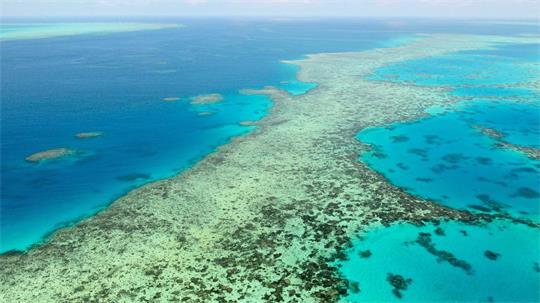 Das Great Barrier Reef gilt als eines der größten Naturwunder der Erde. (Archivbild)