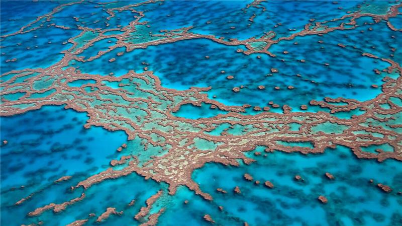 Die Welt von oben: Filmemacher aus Otterndorf startet neues Projekt Das Great Barrier Reef ist das größte Korallenriff der Erde und das Zuhause vieler faszinierender Arten. Doch das Riff ist wegen der Meereserwärmung zunehmend in Gefahr – und immer häufiger von extremen Korallenbleichen betroffen. Foto: Wüstenberg