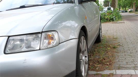 Das Grünzeug um die Räder zeigt es: Das Auto steht schon länger bewegungslos in der Altländer Straße