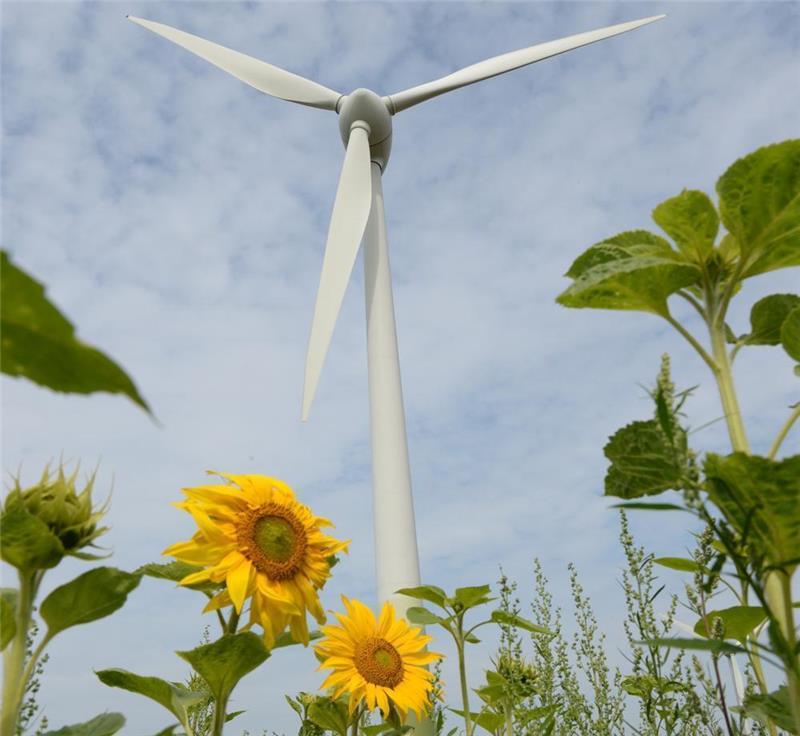 Das Hamburger Start-up Enyway vermittelt Strom an Privathaushalte.