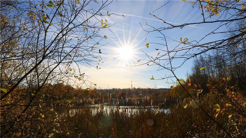 Das Hasenmoor ist eins von mehreren Naturschutzgebieten, die neu ausgewiesen werden sollen.