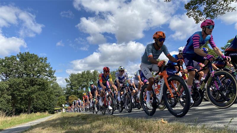 Cyclassics-Ticker: 70-Jähriger stirbt beim Jedermann-Rennen Das Hauptfeld kurz vor Beckdorf und Goldbeck.
