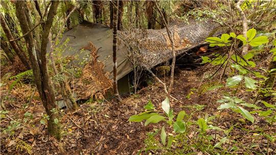 Das Hauptlager wurde in einem dichten Wald auf der Nordinsel entdeckt.