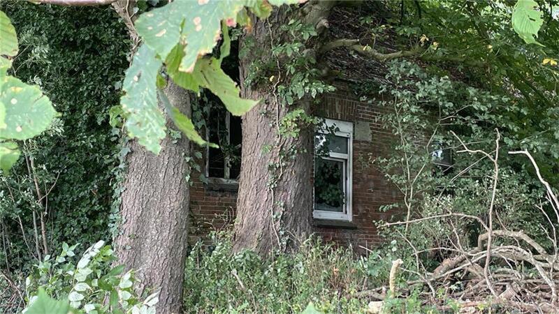 Das Haus versteckt sich hinter alten Bäumen. Wer nicht weiß, dass es dort steht, wird es kaum finden.