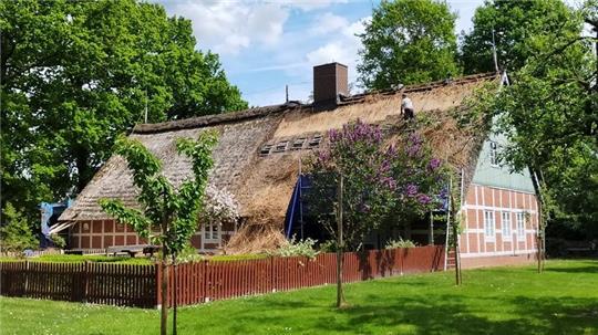 Das Heimathaus Wangersen hat im Sommer ein neues Reetdach erhalten.