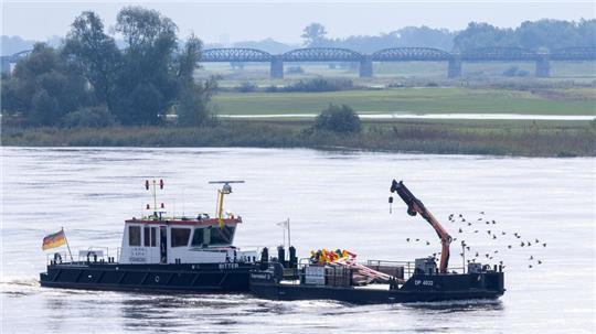 Das Hochwasser der Elbe hat Mecklenburg-Vorpommern erreicht.