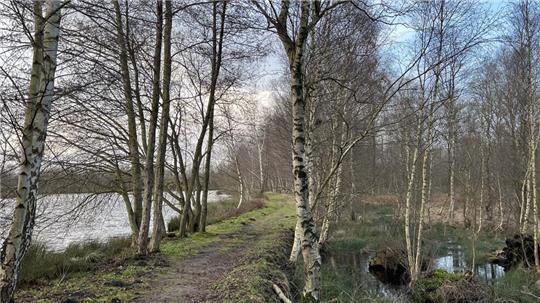 Das Hohe Moor bei Oldendorf ist seit Jahrzehnten wiedervernässt. Im Landkreis sind die Landwirte in Sorge, welche Auswirkungen die Wiedervernässung weiterer Moorflächen auf ihre Betriebe haben wird.