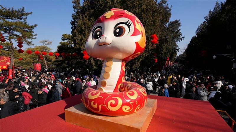Das Jahr der Schlange: zum chinesischen Neujahrsfest wird eine Schlangenfigur in Peking präsentiert.