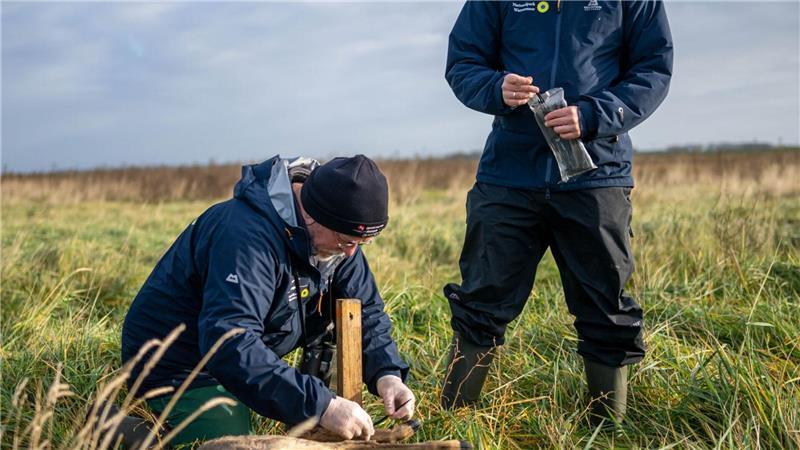 „Wer fraß am Aas?“ - Biodiversität-Hotspots im Wattenmeer Das Kadaver-Forschungsprojekt läuft über fünf Jahre in allen deutschen Nationalparks.