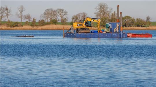 Das Konzept der privaten Initiative zur Rettung des Buckelwals ist wohl überholt. 