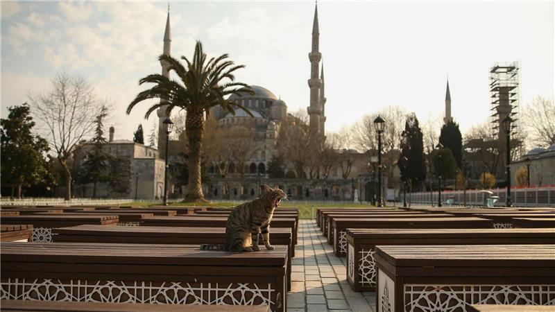 Kontroverse in Türkei - Frauenrechtlerin legt Kopftuch ab Das Kopftuch ist in der Türkei weiter umstritten, auch abseits von Gebetsstätten wie etwa die Blaue Moschee in Istanbul. (Archivbild)