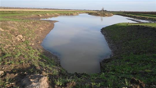 Das Land Niedersachsen hat an der Steinkirchener Moorwettern - nördlich des Hinterdeichs - ein Rückzugsgewässer für Wasserorganismen (Refugialgewässer) angelegt.