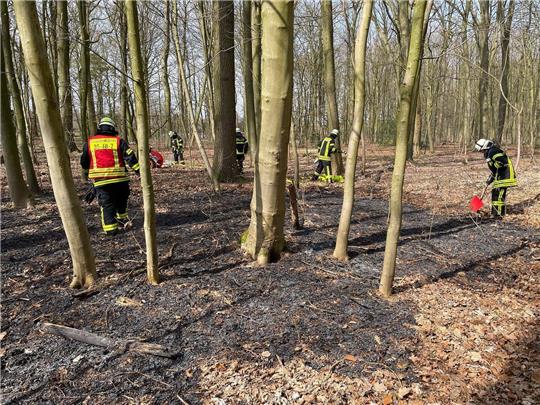 Das Laub brannte bereits. Die Feuerwehr Himmelpforten geht von Brandstiftung aus. Foto: Feuerwehr Himmelpforten/Facebook