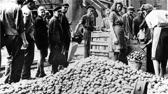Das Leben der Deutschen hängt nach Kriegsende an der Kartoffel. Lebensmittelmangel und grassierende Unterernährung macht große Teile der Bevölkerung zu Dieben. Das Foto zeigt Bergarbeiter, die eine Kartoffelzuteilung erhalten.