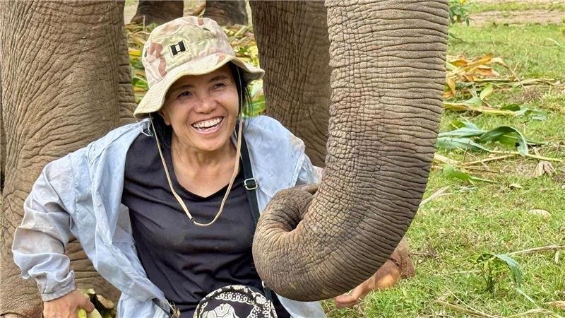 Die Elefantenflüsterin von Chiang Mai Das Lebenswerk der Elefantenflüsterin ist beeindruckend.