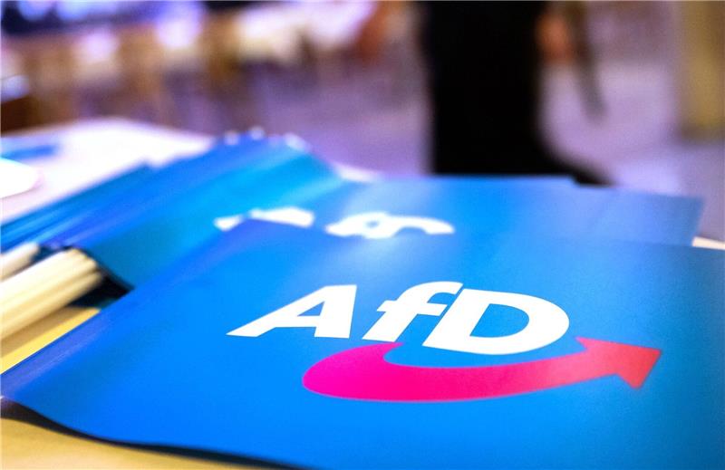 Das Logo der AfD, Symbolbild,