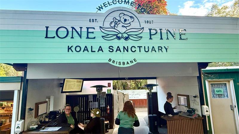 Hinter der Kuschelfassade: Die erstaunliche Welt der Koalas Das Lone Pine Koala Sanctuary lockt Besucher aus aller Welt.