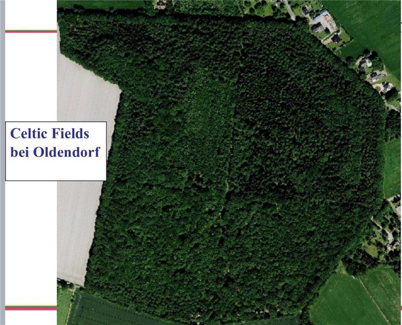 Das Luftbild zeigt ein Waldstück bei Oldendorf.