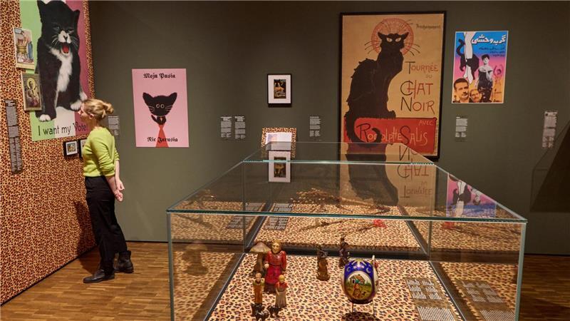 Das MARKK zeigt noch bis Ende November die Ausstellung „Katzen!“