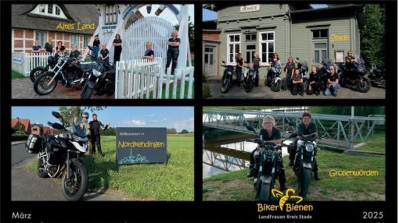 Das März-Bild mit vier Fotos von Biker-Bienen.