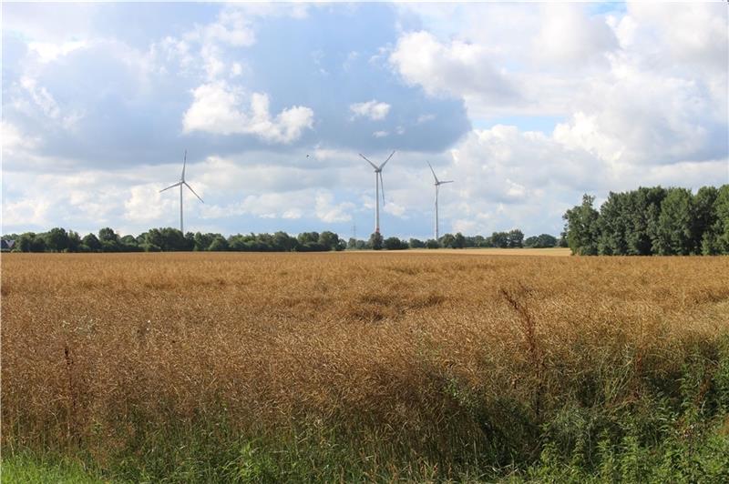 Das Meckelmoor, gelegen zwischen Eilendorf und Immenbeck. Nach einem Moor sieht es aktuell nicht wirklich aus. Fotos: Frank