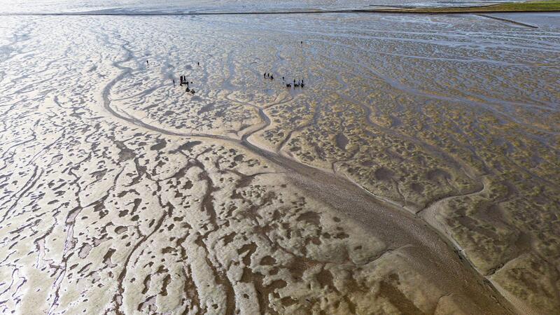 Klimawandel verändert Wattenmeer im Rekordtempo Das Meerwasser im Watt erwärmt sich besonders schnell. (Archivbild)