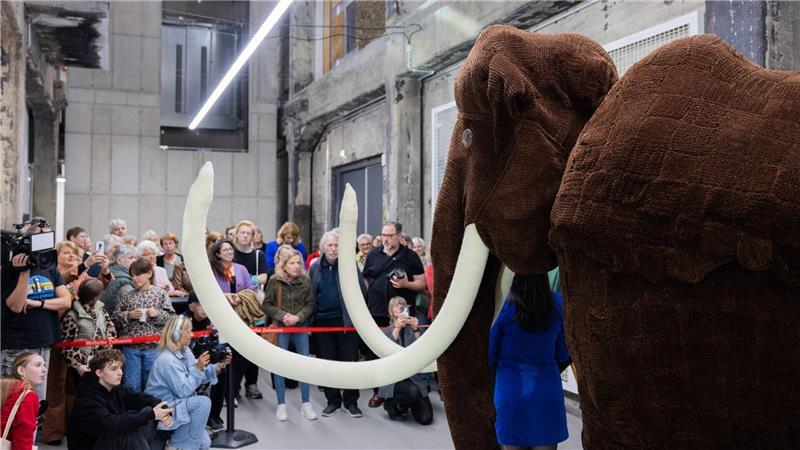 Das Mega-Mammut ist fertig. 