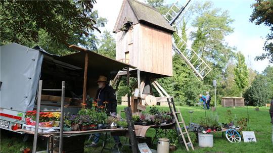 Das Motto des Herbst-Inselmarktes auf der Museumsinsel: „ökologisch | nachhaltig | regional | fair“.