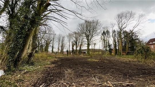 Das Nahversorgungszentrum soll in Himmelpforten auf dem Steinmetz-Areal entstehen. Unbekannte hatten hier in den vergangenen Jahren Bäume beschädigt.