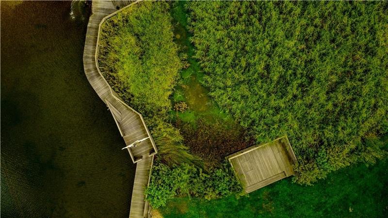 Das Naturbad aus der Vogelperspektive. Foto: Naturbad