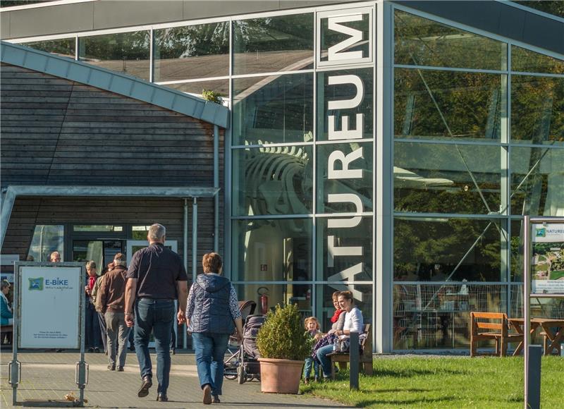 Aktionstag rund ums Pferd Das Natureum in Balje. Foto Hilk/Natureum