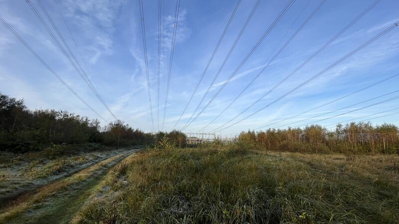 Vier Wölfe im Rüstjer Forst beobachtet – Gibt es dort ein Rudel? Das Naturschutzgebiet Feerner Moor hat eine Größe von 184 Hektar.