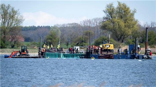Das Netz ist runter: die Reise für den Buckelwal kann losgehen