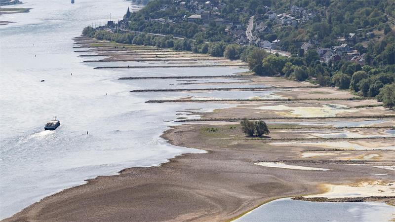 Das Niedrigwasser auf wichtigen Wasserstraßen wie dem Rhein ist eine Belastung für die deutsche Wirtschaft. (Archivbild)