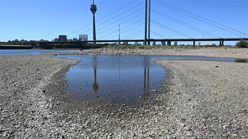 Deutsche Wirtschaft wächst stärker - Staat tief im Minus Das Niedrigwasser im Rhein bremst die deutsche Wirtschaft. (Archivbild)