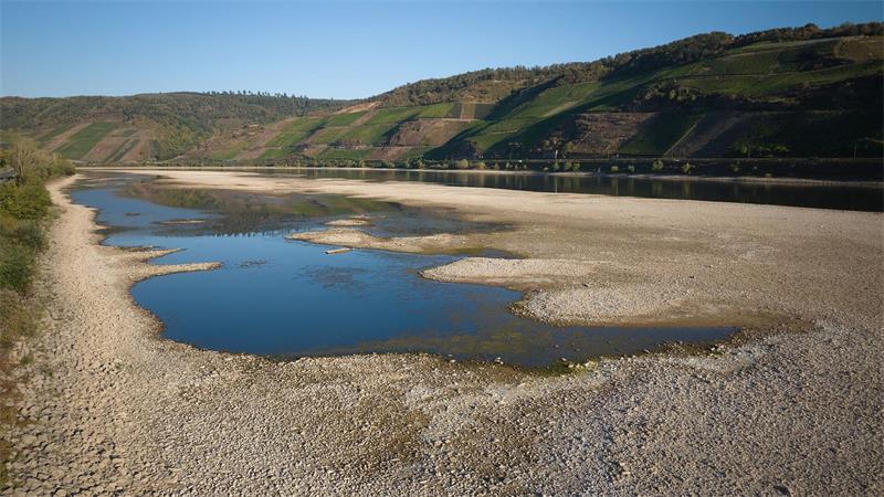 Höhere Preise und Engpässe - Niedrigwasser trifft Bauherren Das Niedrigwasser treibt die Transportkosten nach oben - auch am Bau