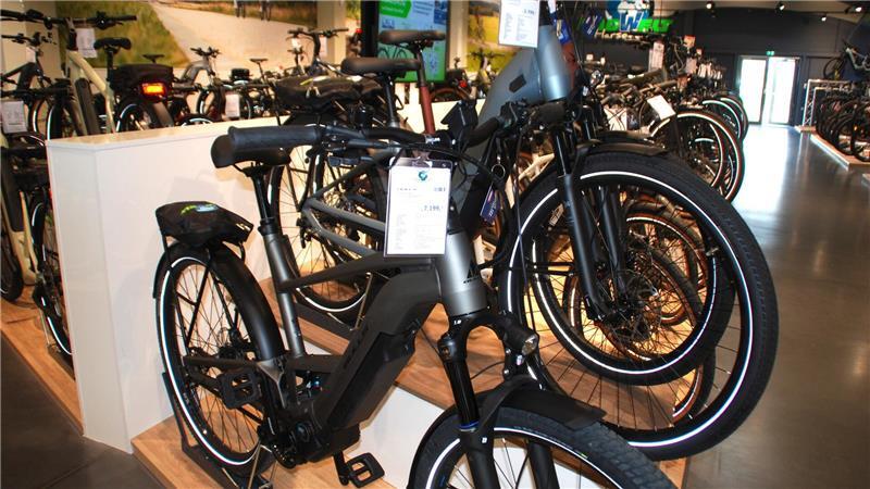 Das Nonplusultra: E-SUV-Fully mit Federung.