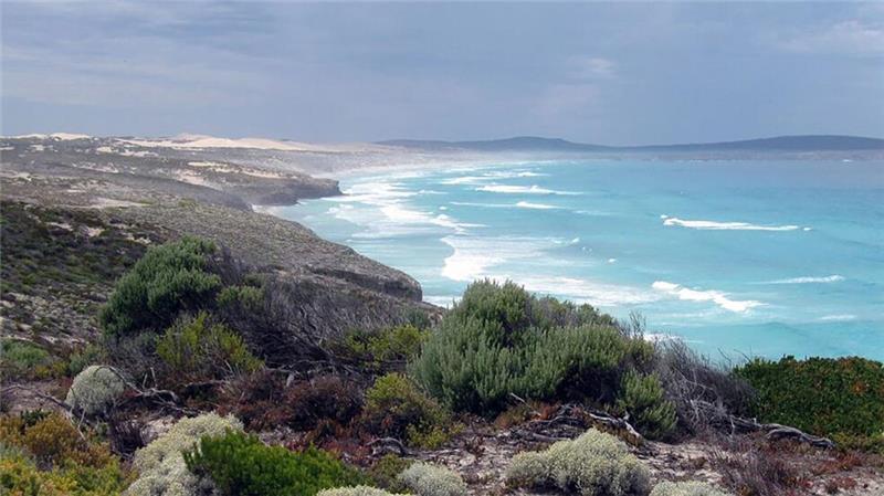 Surfer nach Haiangriff in Australien vermisst Das Opfer stammt aus dem wenige Hundert Kilometer entfernten Port Lincoln. (Archivbild)