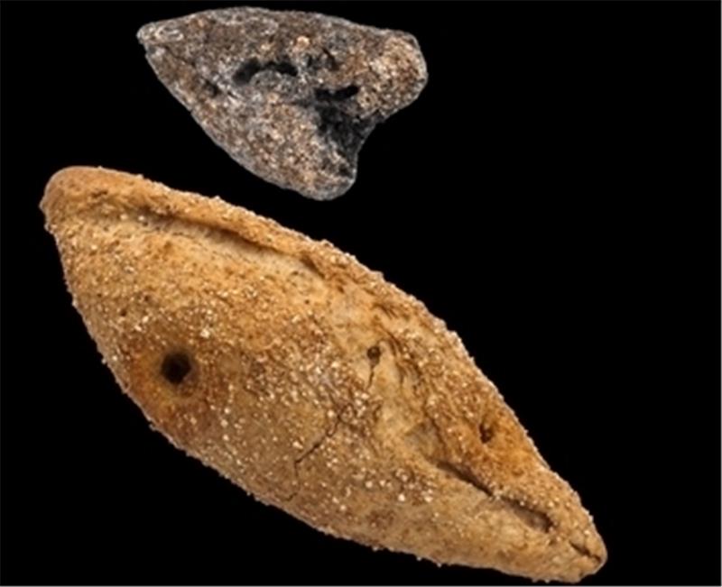 Das Originalfundstück (oben) und die nachgebackene Rekonstruktion des Spitzweckens von Ovelgönne .